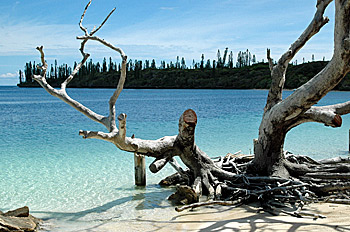 ... wunderschön der weiße Strand von Ile des Pins ...