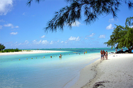 ... Ile aux Crefs ...