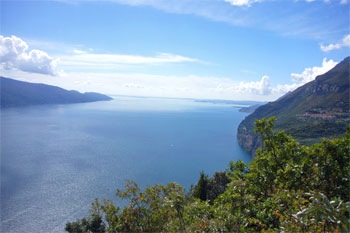 ... und - habe ich zuviel versprochen? ...