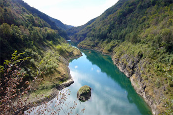 ... faszinierend die Natur ...