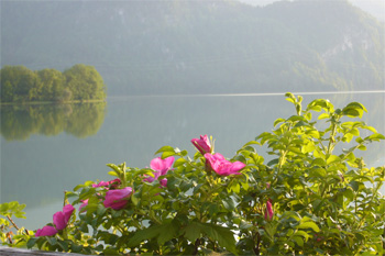 ... herrliche Abendstimmung im Biergarten ...