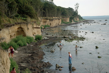 ... eine sehr interessante Natur ...