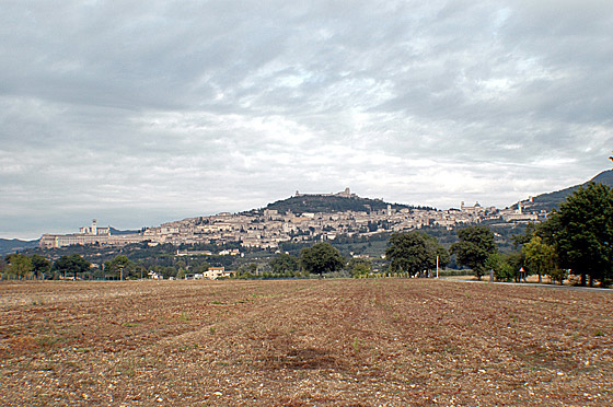 ... wir freuen uns auf Assisi ...