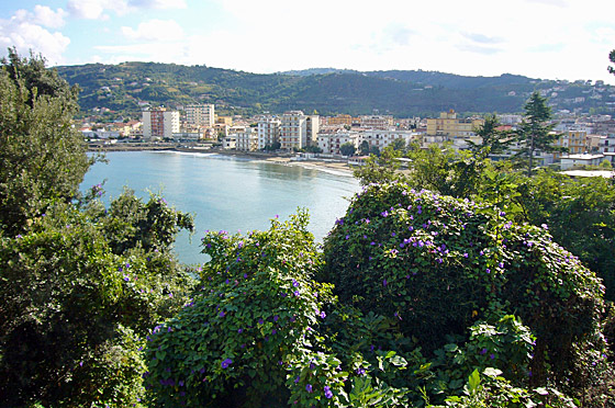 ... schöne Aussicht ...