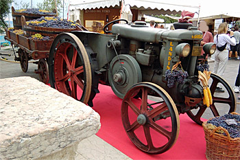 ... wunderschön ...