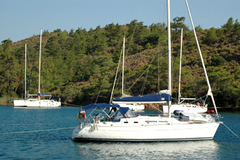 ... unsere Nachbarn ...