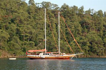 ... unsere Nachbarn in der Bucht von Degirmen Bükü ...