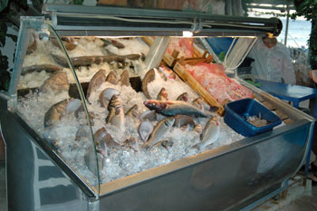 ... fangfrischer Fisch ...